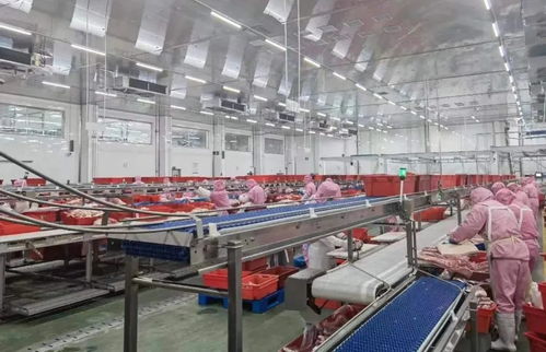 副市長陳曉強(qiáng)深入夏津縣食品生產(chǎn)經(jīng)營企業(yè)督導(dǎo)調(diào)研保健食品生產(chǎn)工作