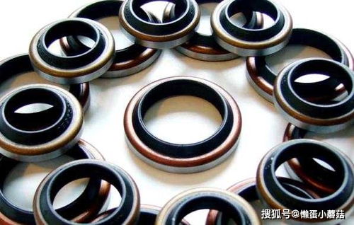 泵上油封漏油的原因分析與密封件對策